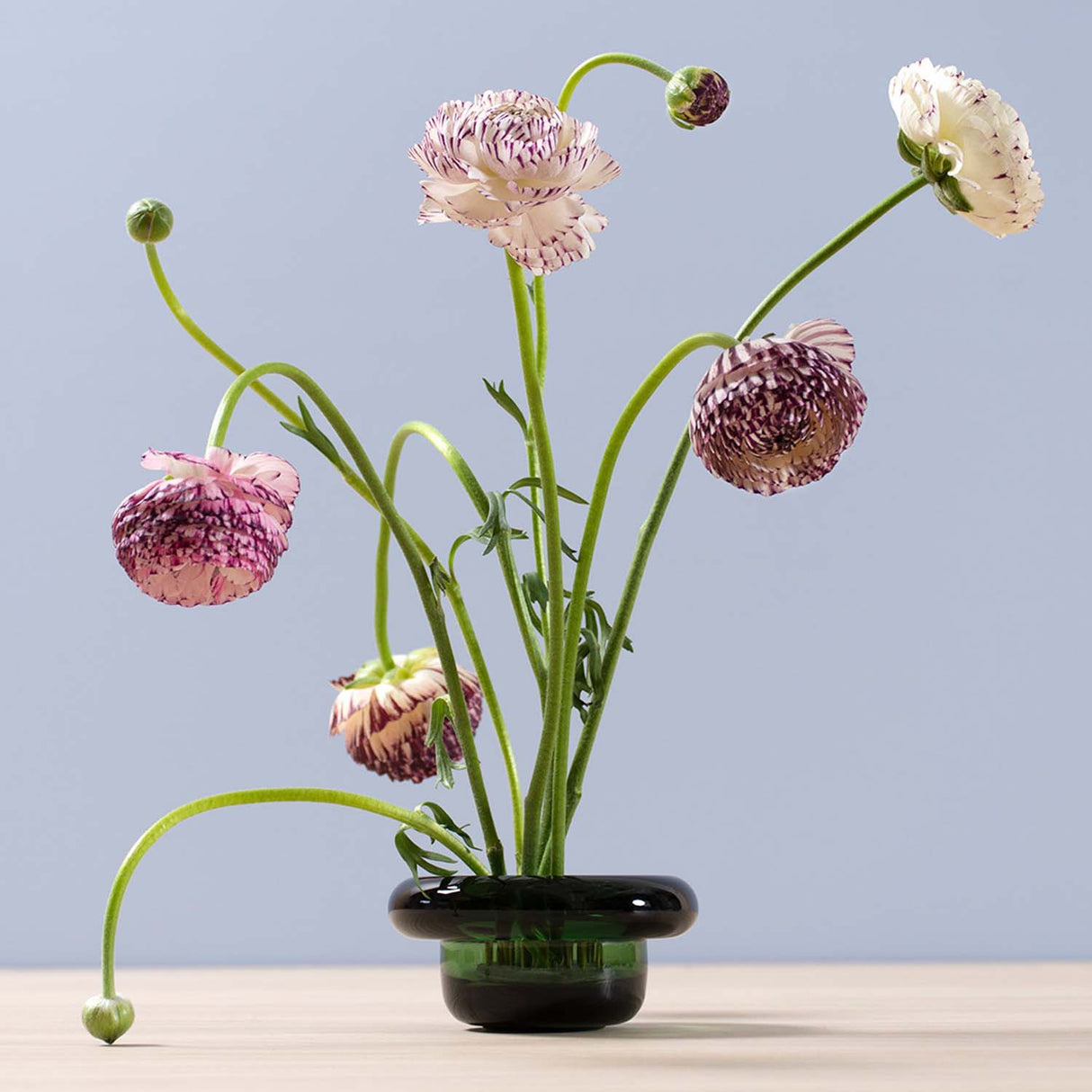 Nedre Foss Sirkel telysholder, grønn.