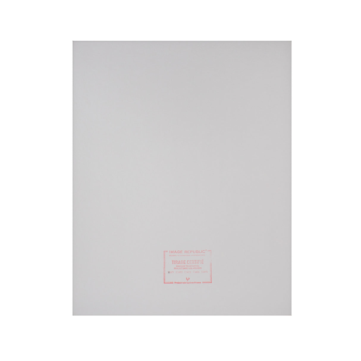 Image Republic Le Duo plakat "PLANCHE ARCHITECTURE" 40X50 cm.