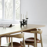 Nedre Foss Nunatak lysestake.