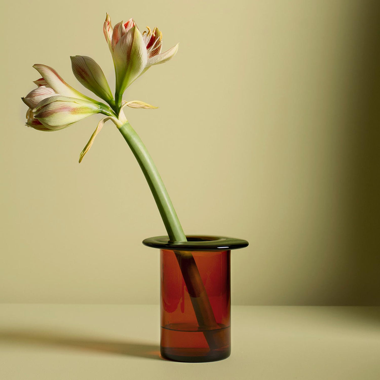 Nedrefoss Rabarbra vase. Nyhet!