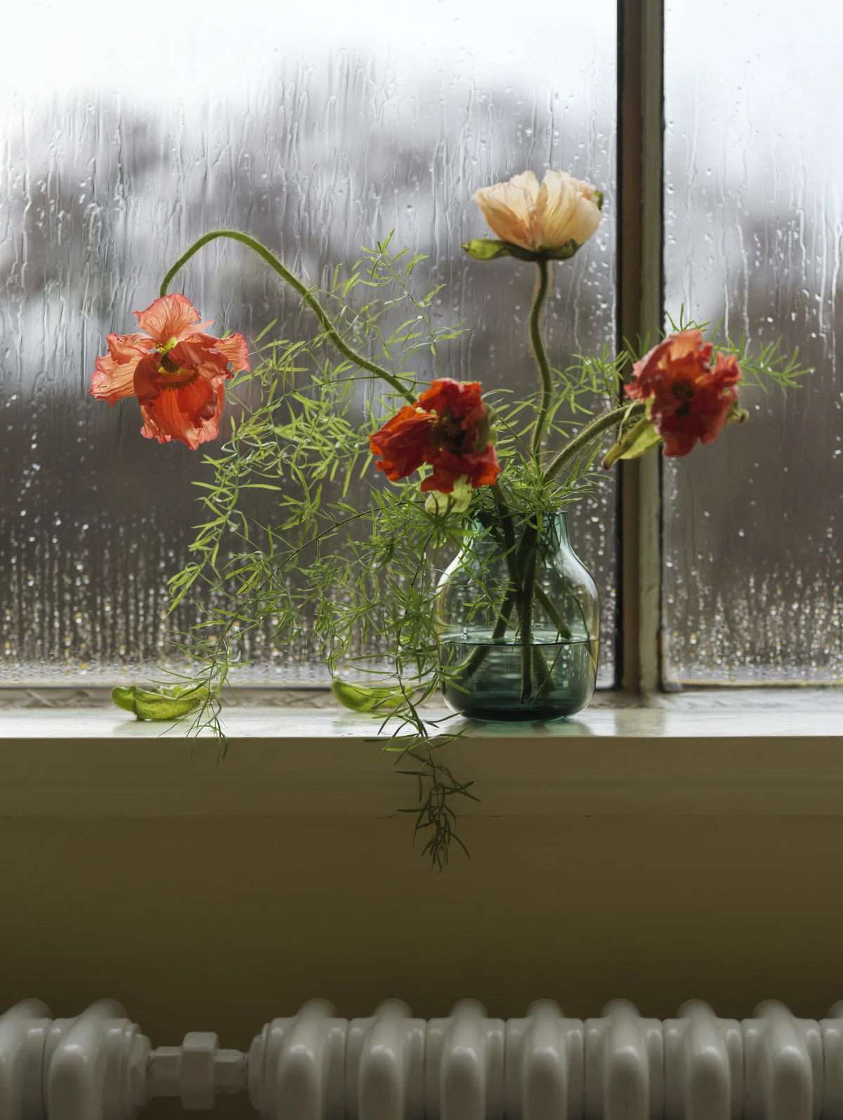 Muuto Silent vase. Velg størrelse og farge