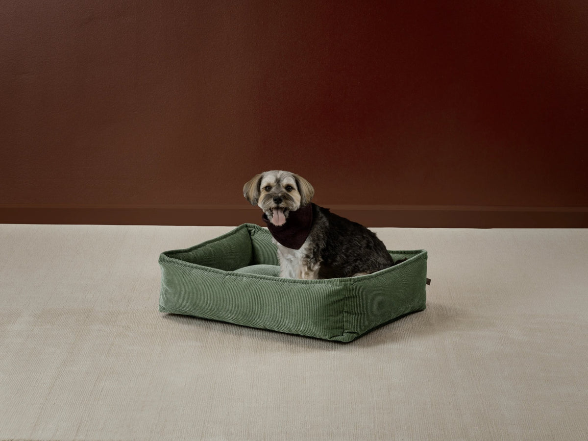 Eilersen Molly hundeseng – miljøbilde