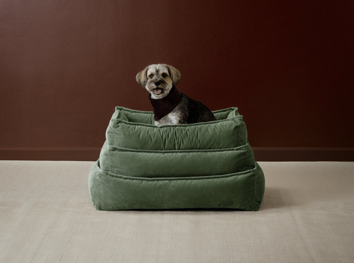 Eilersen Molly hundeseng – miljøbilde