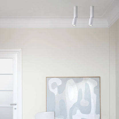 Luceplan E06 retningsbestemt taklampe. Velg farge