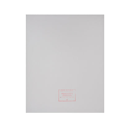 Image Republic Le Duo plakat "PLANCHE SNEAKERS" 40X50 cm.